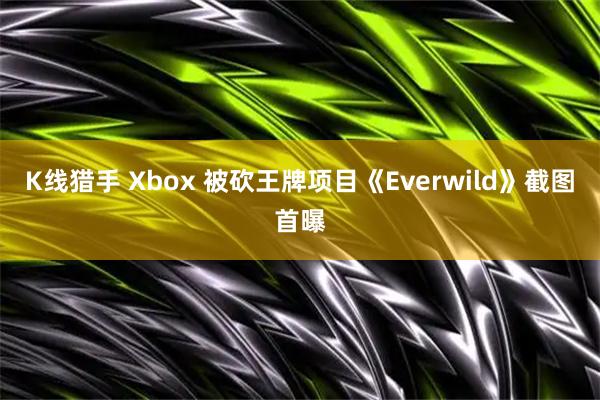 K线猎手 Xbox 被砍王牌项目《Everwild》截图首曝