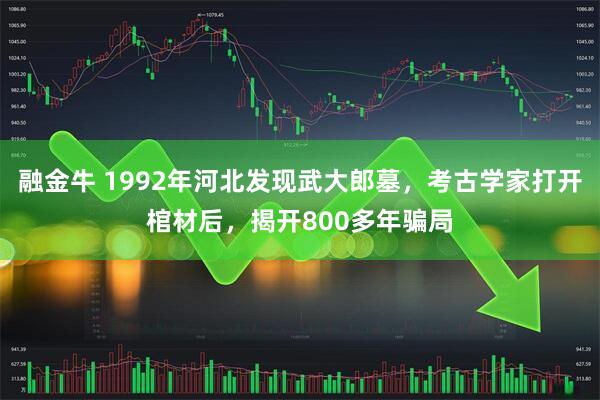 融金牛 1992年河北发现武大郎墓，考古学家打开棺材后，揭开800多年骗局